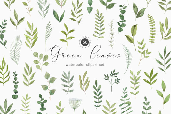Download Watercolor Greenery Botanical Clipart - Premium Resources