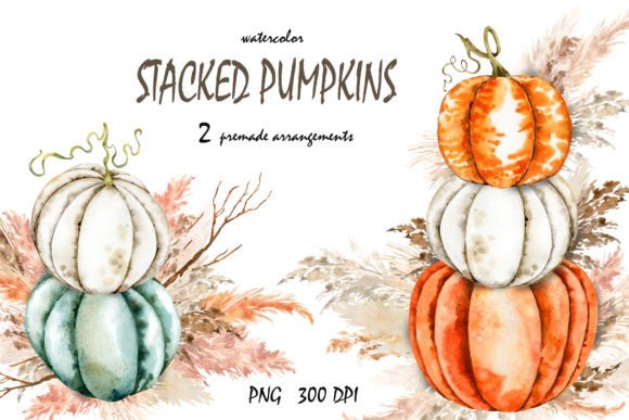 Download Boho Fall Pumpkins, Pampas Grass PNG. - Grass png Collection