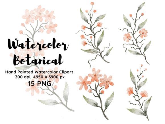 Download Watercolor Botanical Clipart PNG - Premium Resources