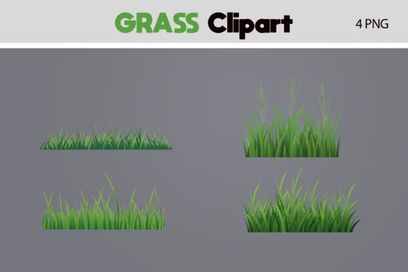 Download Grass PNG Clipart - Grass png Collection