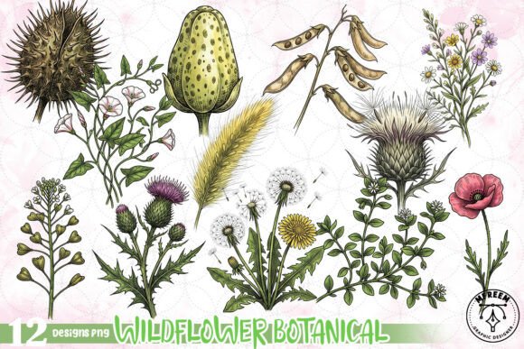 Download Wildflower Botanical Clipart PNG - Premium Bundle